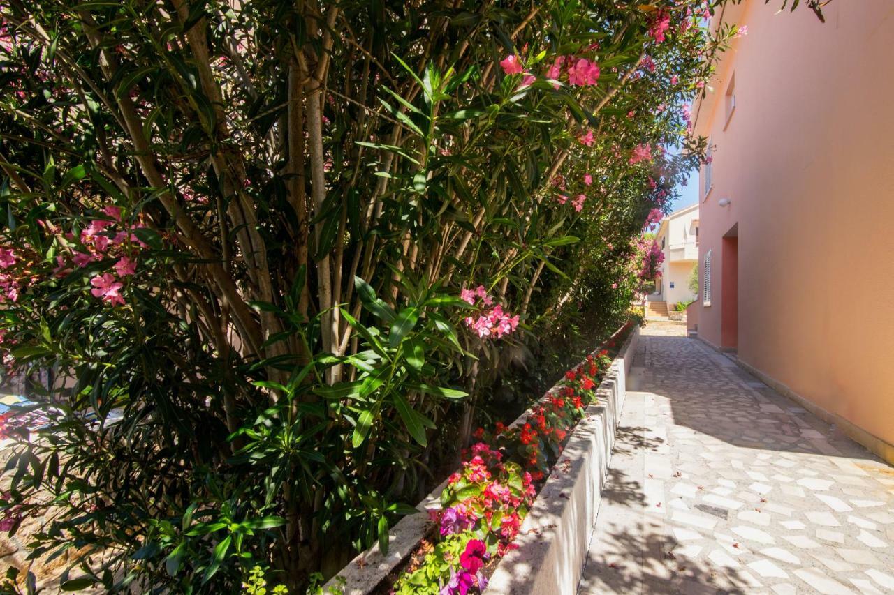 Apartment And Rooms Amenka نوفاليا المظهر الخارجي الصورة